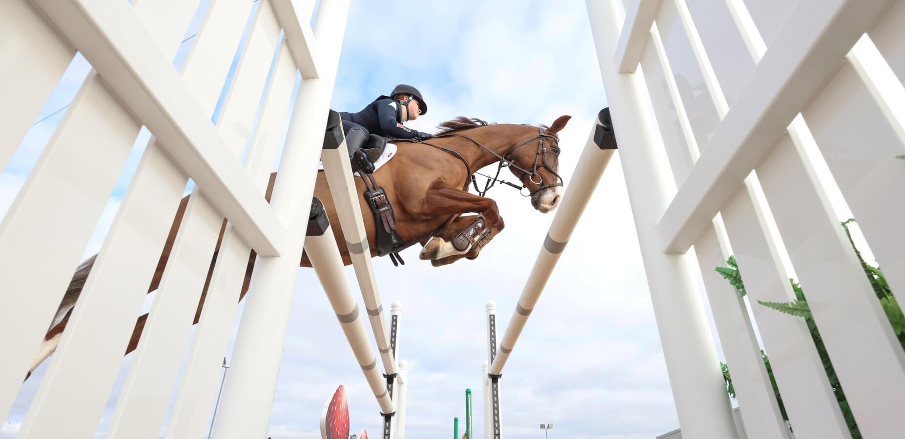 Bienvenue sur A CHEVAL.FR : obstacles, Haygain, tapis de box, solarium