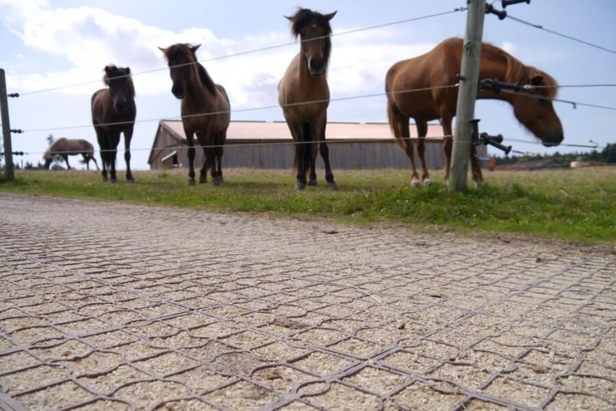 Stabilisation des sols