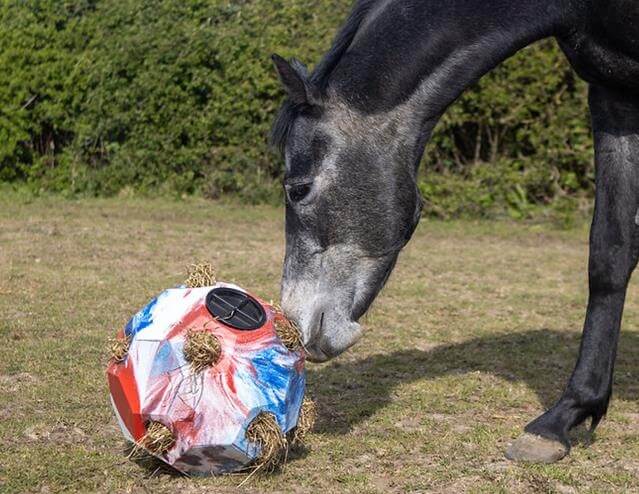 Enrichissement et accessoires de prairie