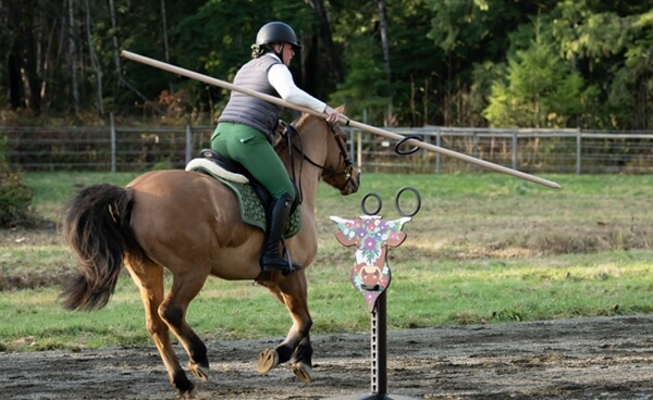 Équitation de Travail et Trec PTV