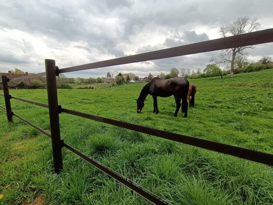 Clôtures et piquets