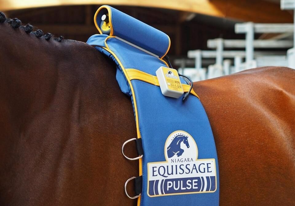 Connaissez-vous Equissage Pulse