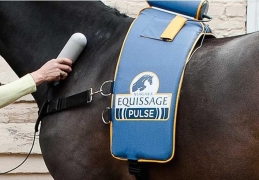 Photo de l'actualité