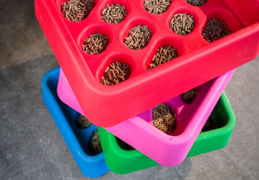 Nouveauté : la mangeoire Grad-Dual feeder