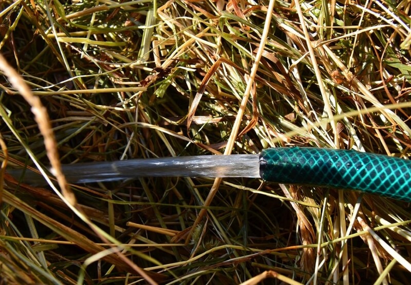 Foin : Trempage VS...