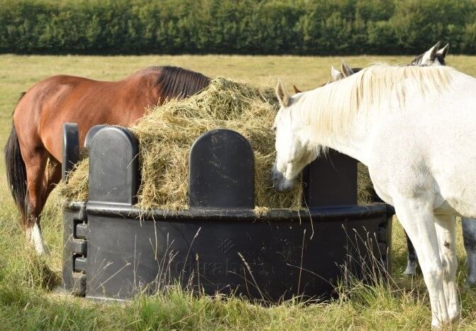 Nouveauté : Râtelier de prairie Durabale de Haygain