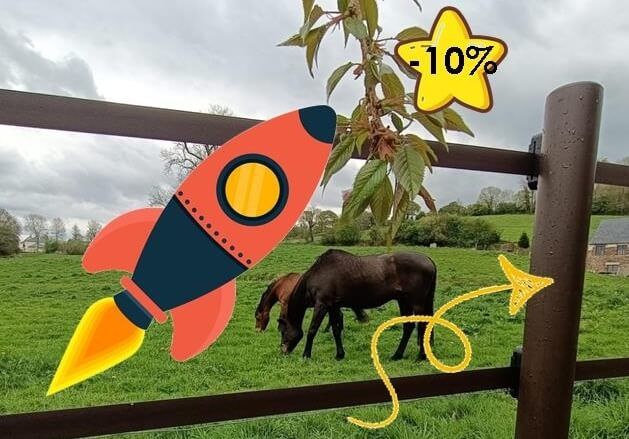 NOUVEAU : Piquets de clôture A CHEVAL