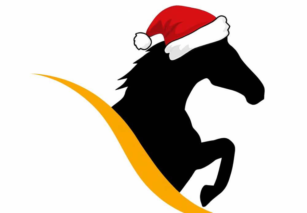 La sélection du Père Noël !