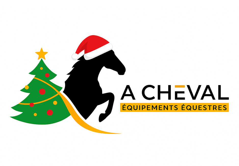 Bonnes fêtes de fin d'année de la part de l'équipe A CHEVAL !