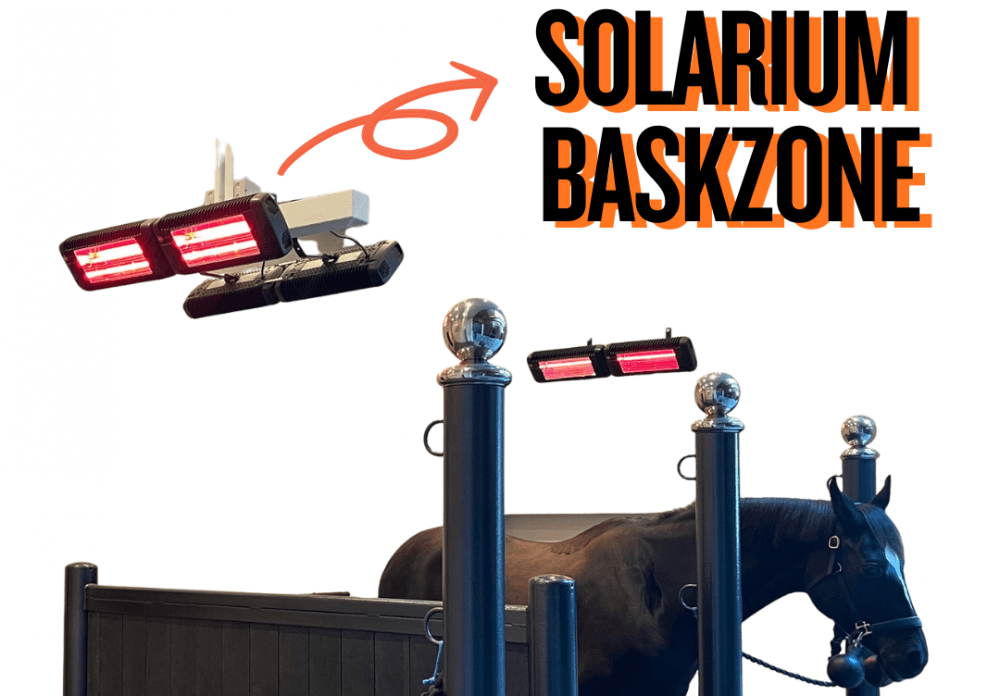 Solarium BaskZone