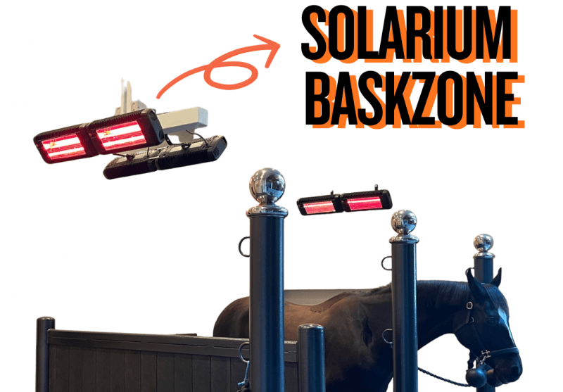 Solarium BaskZone