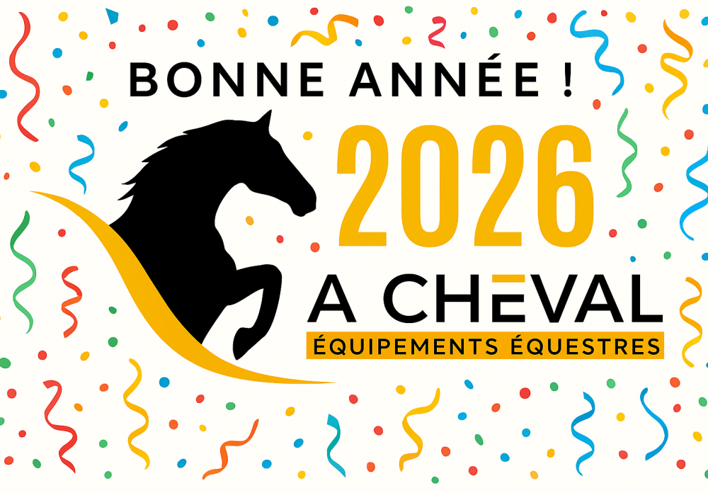 Bonne année 2026 !