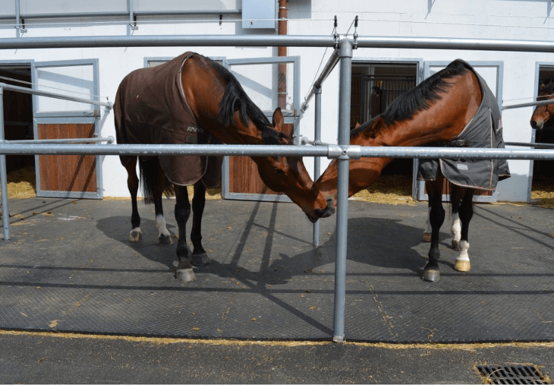 NOUVEAU ! ✨ Le sol qui change tout aux écuries !