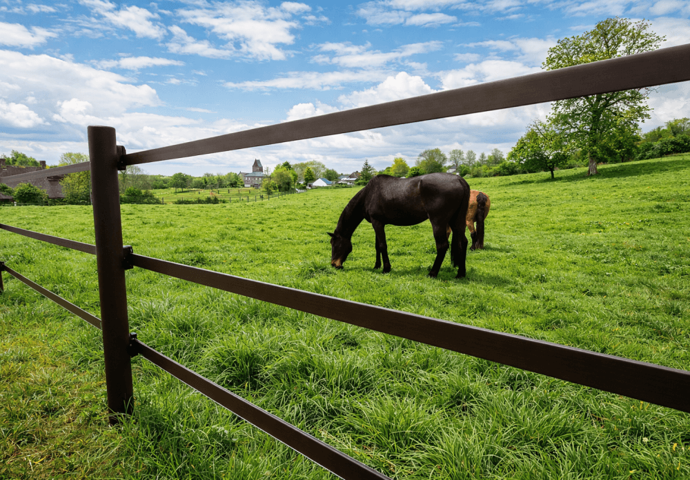 Sécurisez vos prairies avec robustesse et tranquillité