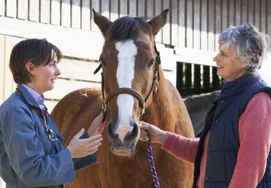 Mon cheval a été diagnostiqué avec une IAD