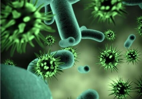 Quel est l'impact de l'environnement du box sur la santé respiratoire humaine?
