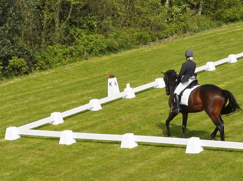 Photo produit Lice de dressage 60 x 20