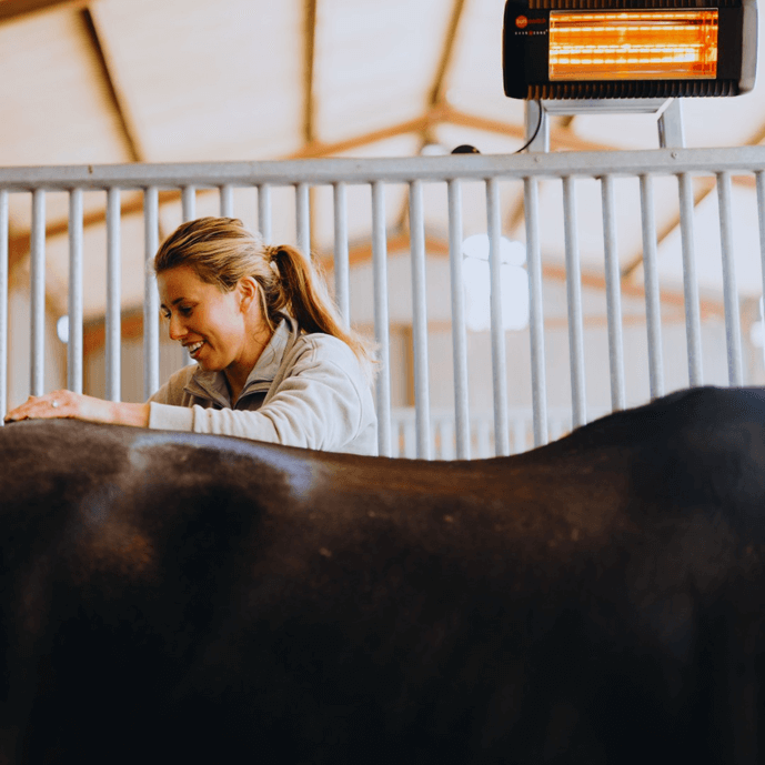 Photo produit Solarium cheval