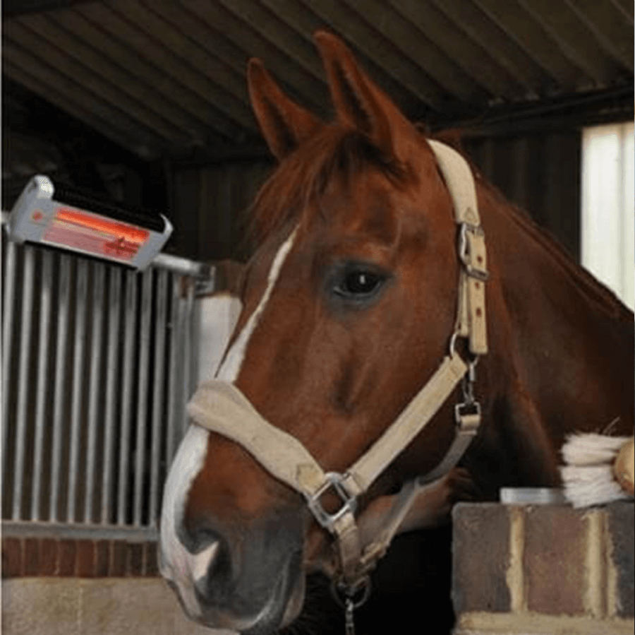 Photo produit Solarium chevaux