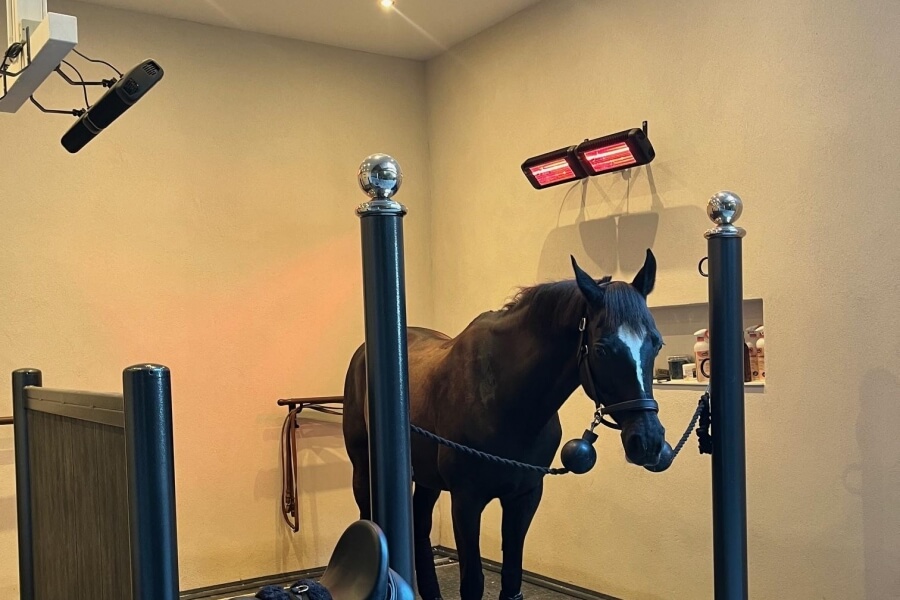 Photo produit Solarium cheval