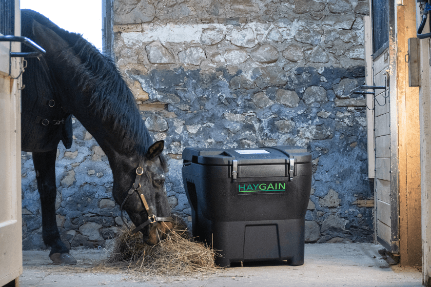 Photo produit Purificateur HG 600