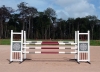 Photo produit Obstacle complet chandelier combi D et barres