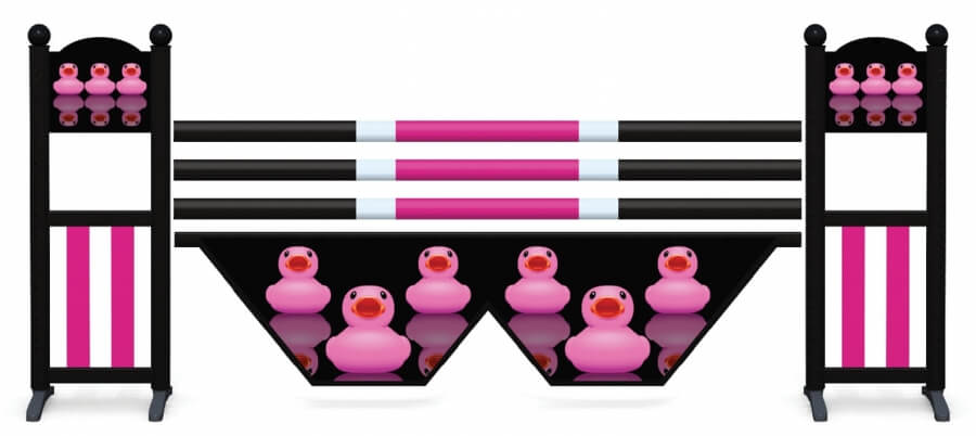 Obstacle de CSOcomplet Canards rose et W