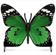 Photo produit Papillon vert