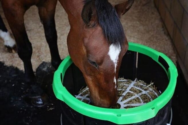 Photo produit Forager Haygain