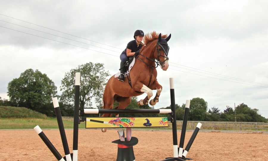 Photo produit Chandelier d obstacles
Matériel d obstacles
