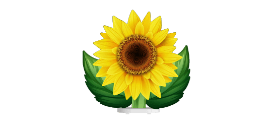 Soubassement Tournesol