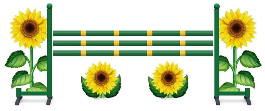 Obstacle complet Tournesol