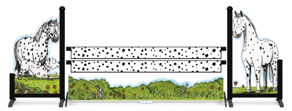 Obstacle complet Emily Cole - Seeing Spots