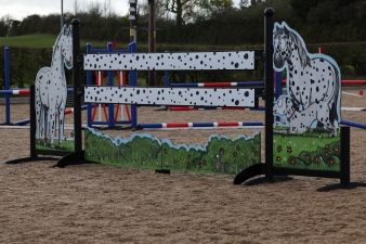 OBSTACLE COMPLET EMILY COLE - SEEING SPOTS