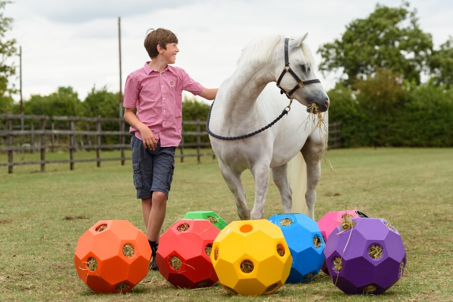 Photo produit Balle à foin A CHEVAL