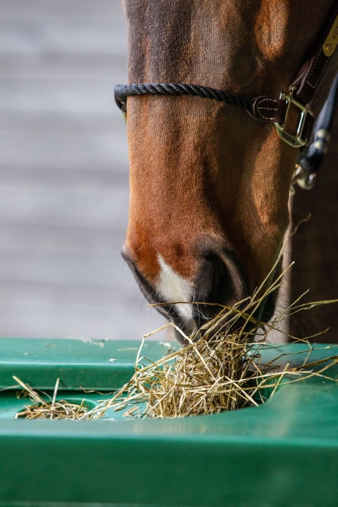 Photo produit Slowfeeder chevaux