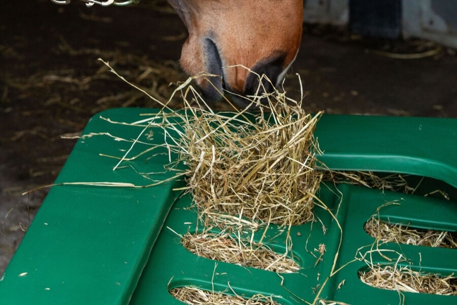 Photo produit Cheval Hay-Saver