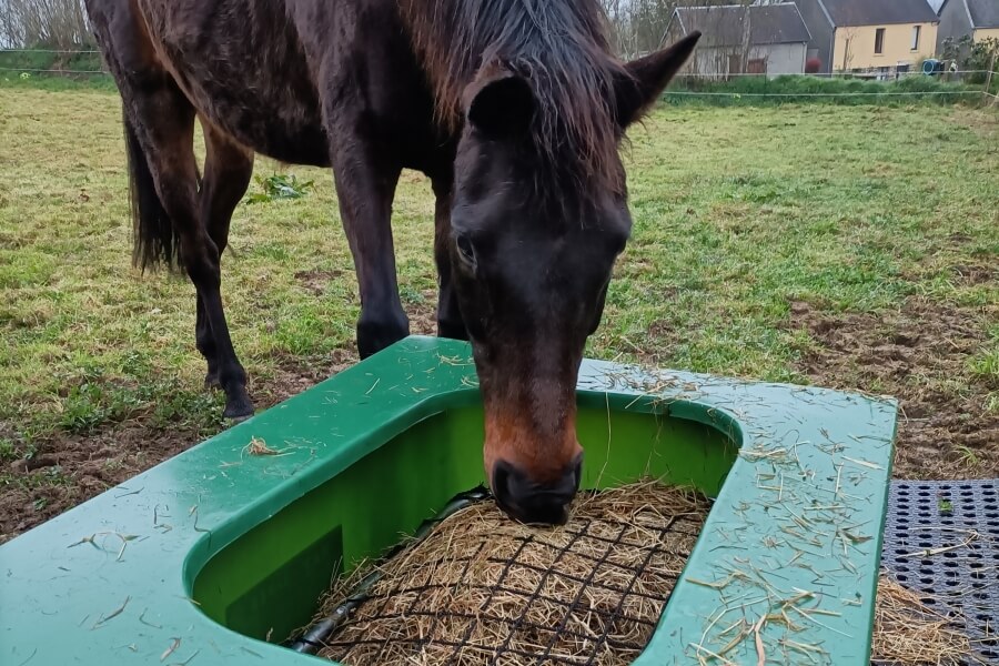 Photo produit HaySaver Ratelier foin cheval