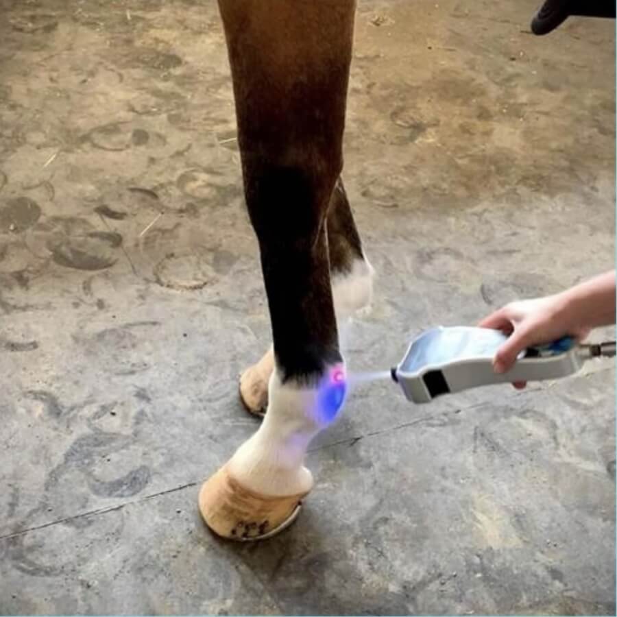 Photo produit Thérapie du froid chevaux