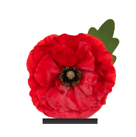 Soubassement Coquelicot