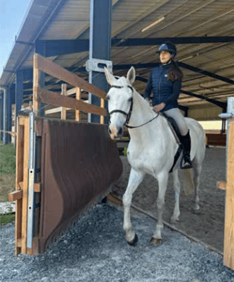 Photo produit Pare-bottes manège carrière