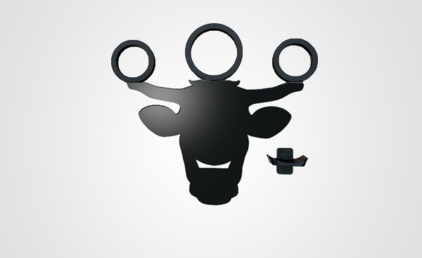 Photo produit Taureau équitation de travail
