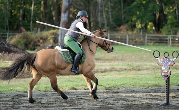 Photo produit Anneaux équitation de travail