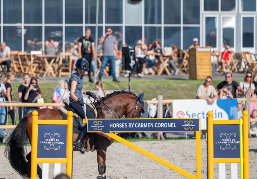 Photo produit Portail working Equitation
