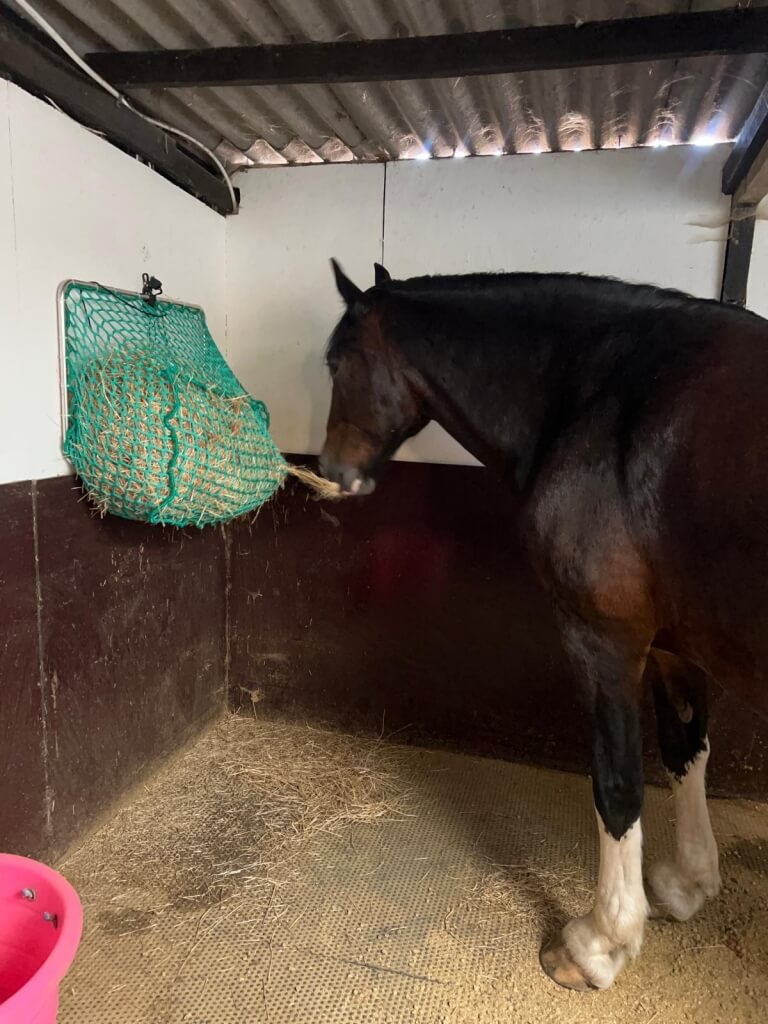 Photo produit Filet à foin mural chevaux