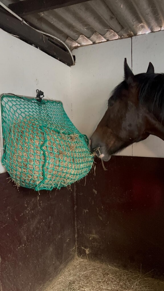 Photo produit Filet à foin mural cheval