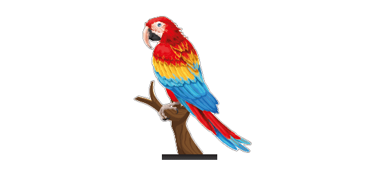Soubassement Prestige Perroquet