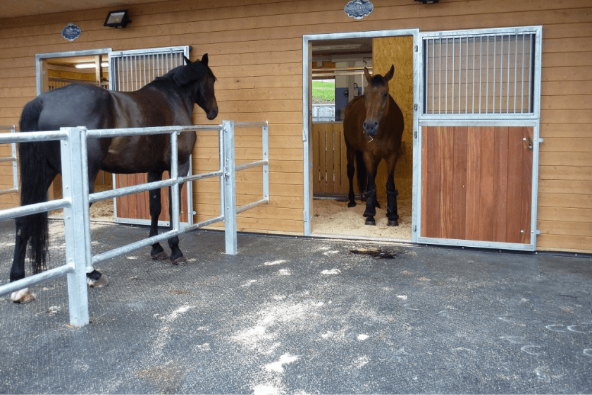 Photo produit tapis caoutchouc recyclable cheval

tapis écurie fabrication allemande

tapis caoutchouc haute résistance équin

revêtement sol équin durable