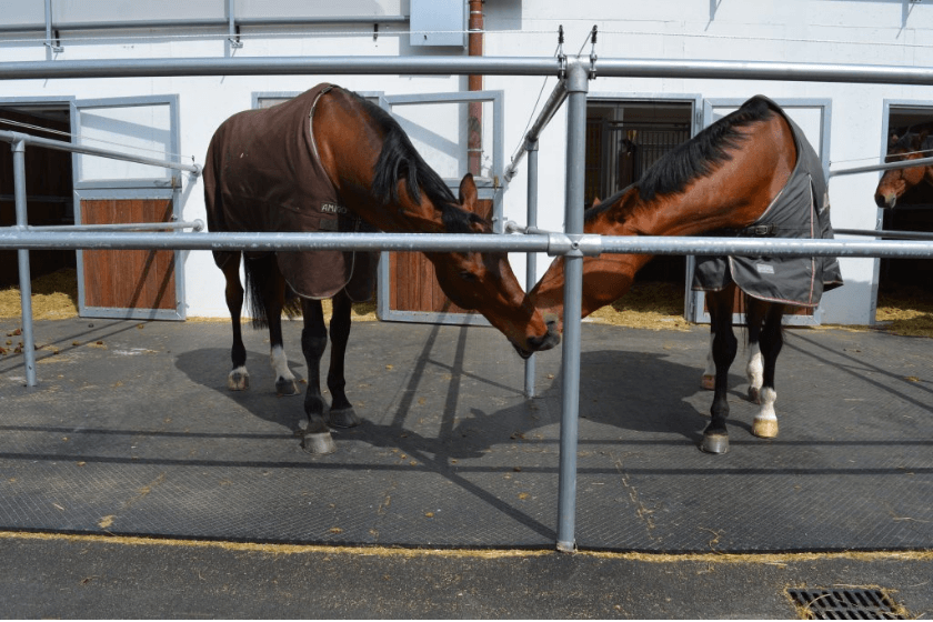 Photo produit apis puzzle caoutchouc cheval

dalle caoutchouc écurie

tapis caoutchouc extérieur cheval

tapis sol résistant gel et UV

tapis caoutchouc circulation véhicules

revêtement sol écurie professionnel