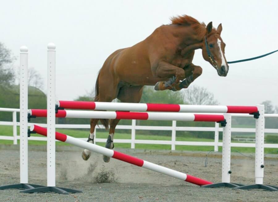 Photo produit Chandelle téléscopique saut en longe cheval